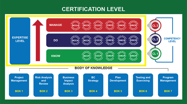 Competency Roadmap.png