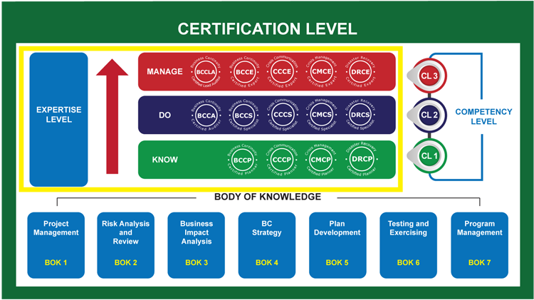 Competency Roadmap.png