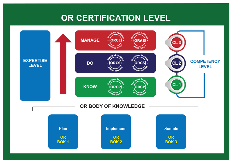 OR Competency Roadmap.png