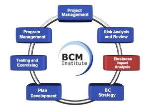 BCM Planning Methodology BIA.jpg